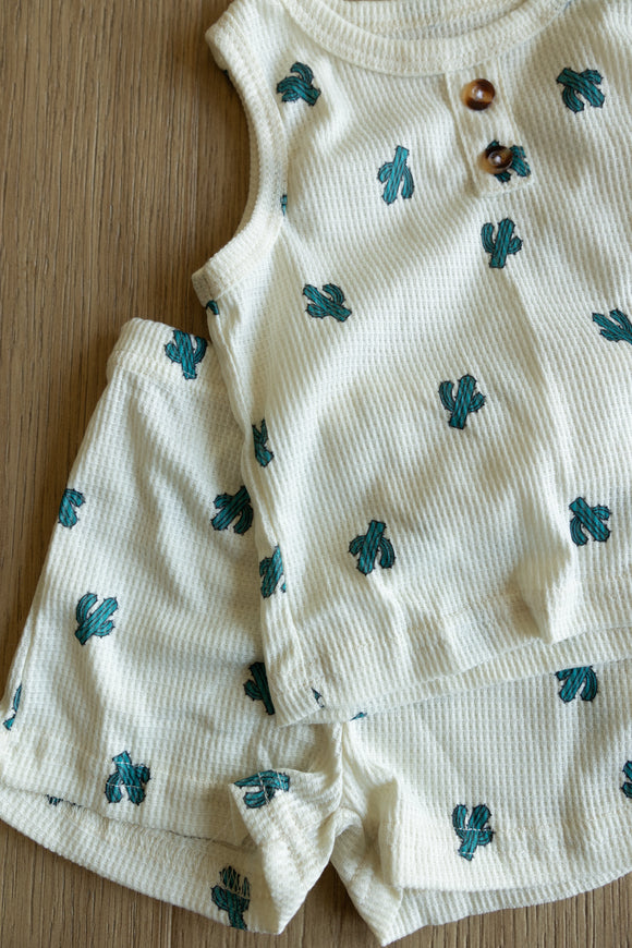 Cactus Set